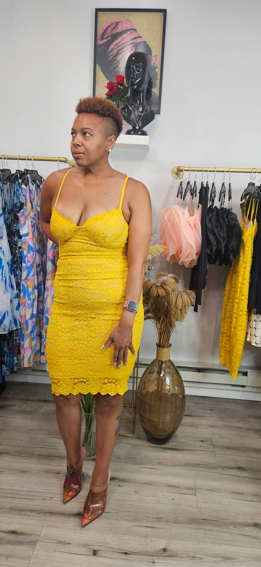 Pleasure Is All Mine Lace Dress